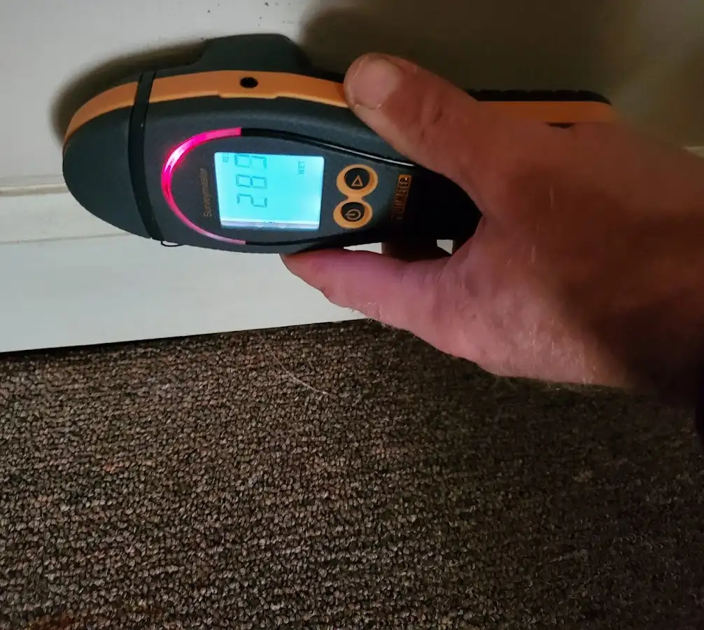 Moisture detection at baseboard during Sewage Cleanup & Sanitation in Chester